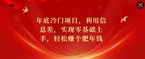 年底冷门项目，利用信息差，实现零基础上手，轻松赚个肥年钱【揭秘】-非凡网-资源网-最新项目分享平台