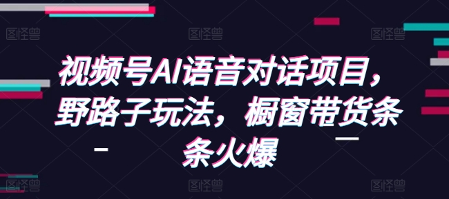 视频号AI语音对话项目，野路子玩法，橱窗带货条条火爆-非凡网-资源网-最新项目分享平台