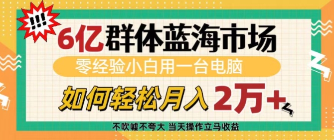 6亿群体蓝海市场，零经验小白用一台电脑，如何轻松月入过w【揭秘】-非凡网-资源网-最新项目分享平台