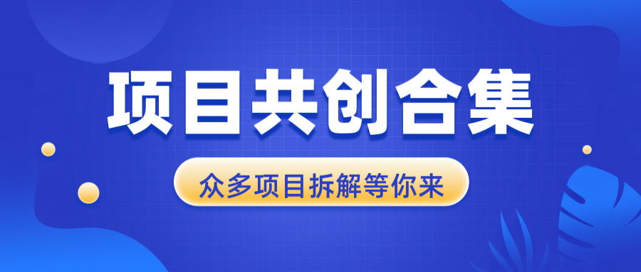 项目共创合集，从0-1全过程拆解，让你迅速找到适合自已的项目-非凡网-资源网-最新项目分享平台