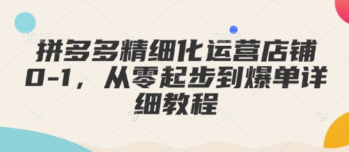 拼多多精细化运营店铺0-1，从零起步到爆单详细教程-非凡网-资源网-最新项目分享平台