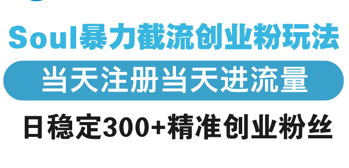 Soul暴力截流创业粉玩法，当天注册当天进流量，日稳定300+精准创业粉丝-非凡网-资源网-最新项目分享平台