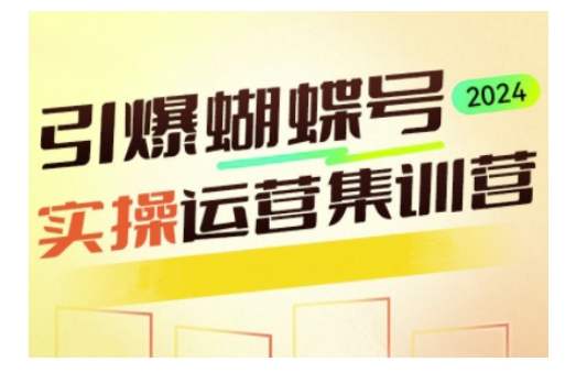 引爆蝴蝶号实操运营，助力你深度掌握蝴蝶号运营，实现高效实操，开启流量变现之路-非凡网-资源网-最新项目分享平台