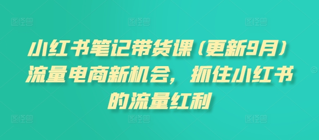 小红书笔记带货课(更新25年1月)流量电商新机会，抓住小红书的流量红利-非凡网-资源网-最新项目分享平台