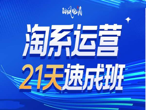 淘系运营21天速成班35期，年前最后一波和2025方向-非凡网-资源网-最新项目分享平台