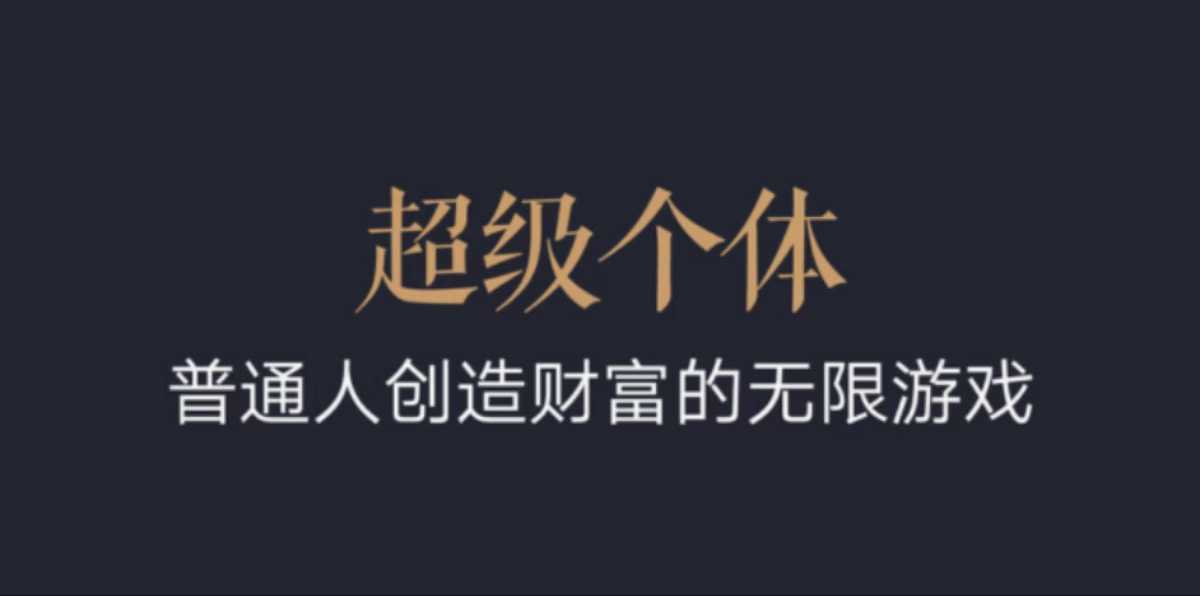 超级个体：2024-2025翻盘指南，普通人创造财富的无限游戏-非凡网-资源网-最新项目分享平台