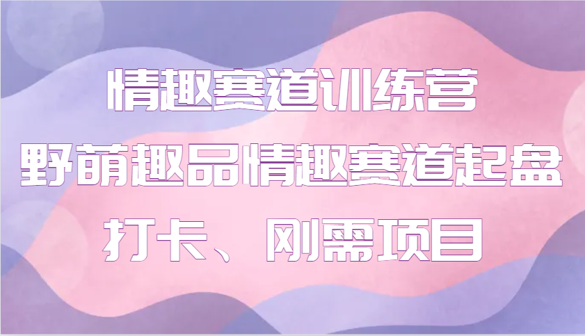 情趣赛道训练营 野萌趣品情趣赛道起盘打卡、刚需项目-非凡网-资源网-最新项目分享平台