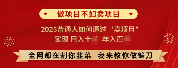 必看，做项目不如卖项目，2025普通人如何通过“卖项目”实现月入十个，年入百个-非凡网-资源网-最新项目分享平台