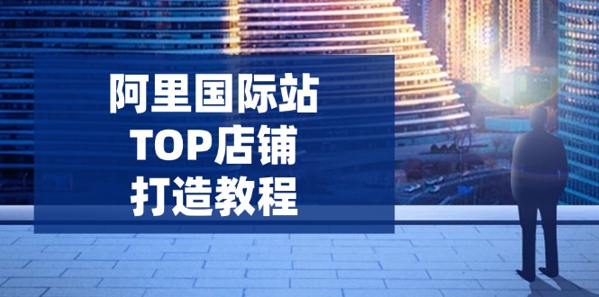 阿里国际站TOP店铺打造教程：涵盖平台到高阶，解决运营难题，提升询盘-非凡网-资源网-最新项目分享平台