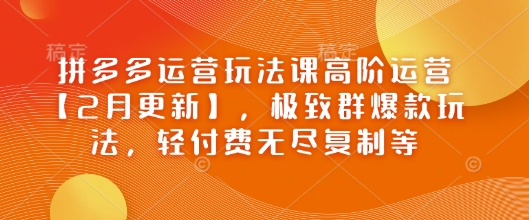 拼多多运营玩法课高阶运营【2月更新】，极致群爆款玩法，轻付费无尽复制等-非凡网-资源网-最新项目分享平台