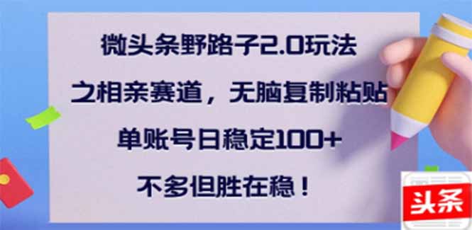 微头条野路子2.0玩法之相亲赛道，无脑搬砖复制粘贴，单账号日稳定300+…-非凡网-资源网-最新项目分享平台