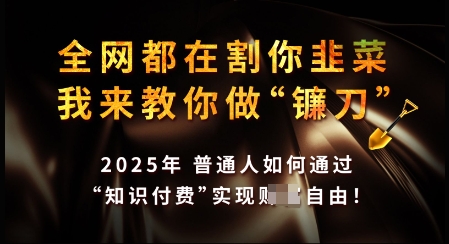 知识付费如何做到月入过W+，2025我来教你做“镰刀”【揭秘】-非凡网-资源网-最新项目分享平台