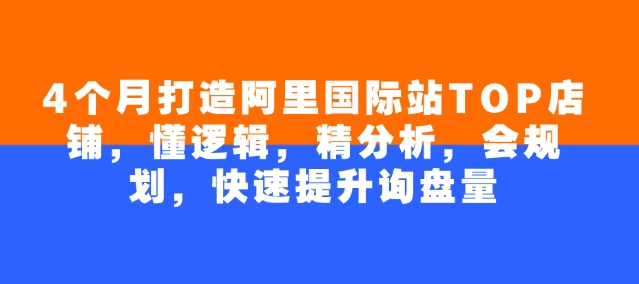 4个月打造阿里国际站TOP店铺，懂逻辑，精分析，会规划，快速提升询盘量-非凡网-资源网-最新项目分享平台