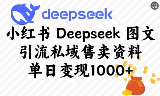 小红书Deepseek图文引流私域售卖资料，单日变现多张-非凡网-资源网-最新项目分享平台