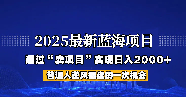 2025年蓝海项目，如何通过“网创项目”日入2000+-非凡网-资源网-最新项目分享平台