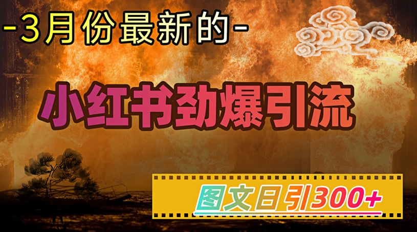 小红书超劲爆引流手段，图文日引300+轻松变现1W-非凡网-资源网-最新项目分享平台