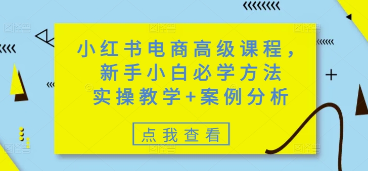 小红书电商高级课程，新手小白必学方法，实操教学+案例分析-非凡网-资源网-最新项目分享平台