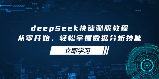 deepSeek快速驯服教程，从零开始，轻松掌握数据分析技能-非凡网-资源网-最新项目分享平台