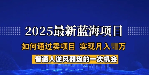 2025蓝海项目，普通人如何通过卖项目，实现月入过W，全过程【揭秘】-非凡网-资源网-最新项目分享平台