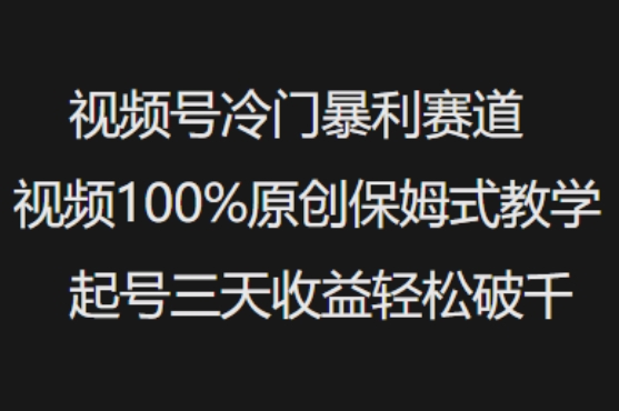 视频号冷门暴利赛道视频100%原创保姆式教学起号三天收益轻松破千-非凡网-资源网-最新项目分享平台