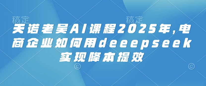 天诺老吴AI课程2025年，电商企业如何用deeepseek实现降本提效-非凡网-资源网-最新项目分享平台