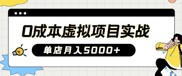 0成本虚拟项目实战手把手教你落地，单店月入5k-非凡网-资源网-最新项目分享平台