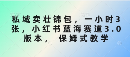 私域卖壮锦包，一小时3张，小红书蓝海赛道3.0版本， 保姆式教学-非凡网-资源网-最新项目分享平台