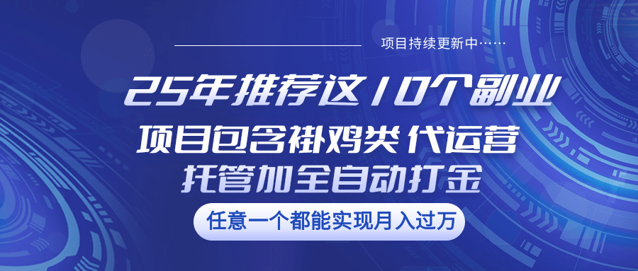 25年推荐这10个副业 项目包含褂鸡类、代运营托管类、全自动打金类-非凡网-资源网-最新项目分享平台