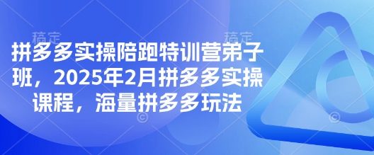 拼多多实操陪跑特训营弟子班，2025年2月拼多多实操课程，海量拼多多玩法-非凡网-资源网-最新项目分享平台