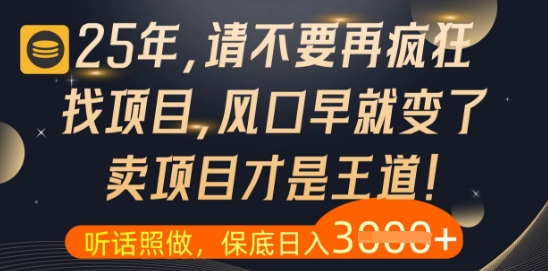 什么？25年你还在疯狂找项目做，醒醒吧，看完这些你全都懂了【揭秘】-非凡网-资源网-最新项目分享平台