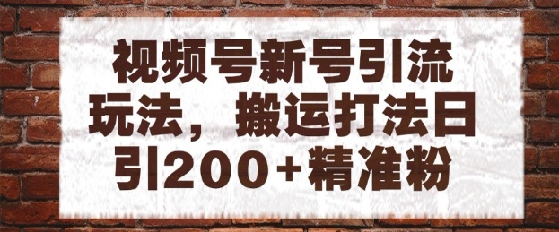 视频号新号引流玩法，搬运打法日引200+精准粉，可矩阵放大【揭秘】-非凡网-资源网-最新项目分享平台