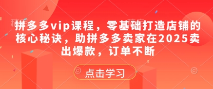 拼多多vip课程，零基础打造店铺的核心秘诀，助拼多多卖家在2025卖出爆款，订单不断-非凡网-资源网-最新项目分享平台
