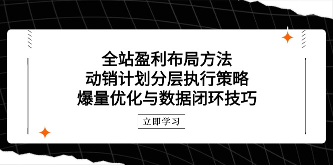 全站盈利布局方法：动销计划分层执行策略，爆量优化与数据闭环技巧-非凡网-资源网-最新项目分享平台