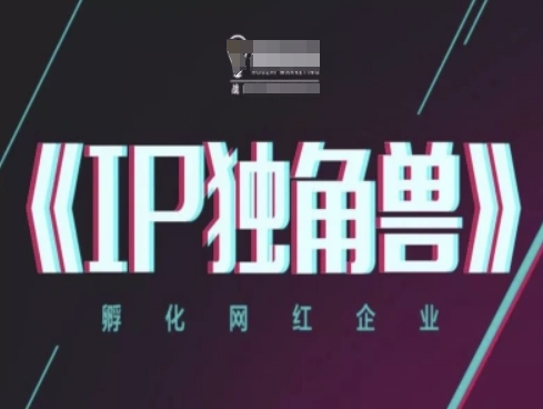 IP独角兽，孵化网红企业，ip教程-非凡网-资源网-最新项目分享平台