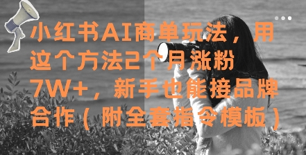 小红书AI商单玩法，用这个方法2个月涨粉7W+，新手也能接品牌合作(附全套指令模板)-非凡网-资源网-最新项目分享平台