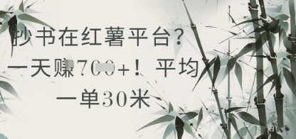 抄书在小红薯平台？平均一单30米，一天收益几张！-非凡网-资源网-最新项目分享平台