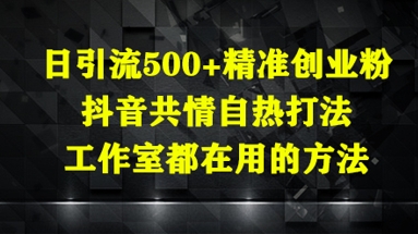 日引流500+精准创业粉，抖音共情自热打法，工作室都在用的方法-非凡网-资源网-最新项目分享平台