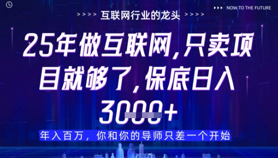 什么！25年你还在找项目做？风口早就变了，卖项目才是稳挣不赔【揭秘】-非凡网-资源网-最新项目分享平台