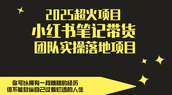 2025超火项目，副业最佳选择，小红书笔记带货团队实操落地项目，，轻松日入5张-非凡网-资源网-最新项目分享平台