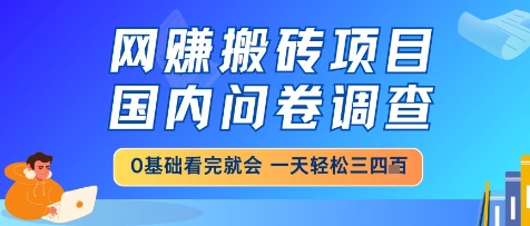 网创搬砖项目，国内问卷调查，小白轻松上手，一天三四张的也不难，干就完了【揭秘】-非凡网-资源网-最新项目分享平台