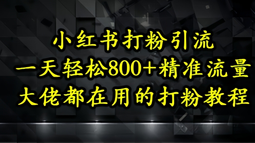 小红书打粉引流，一天轻松500+精准流量，大佬都在用的打粉教程-非凡网-资源网-最新项目分享平台
