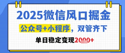 2025微信风口掘金，公众号+小程序双管齐下，单日稳定变现1k+【揭秘】-非凡网-资源网-最新项目分享平台