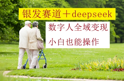 银发赛道+deepseek数字人全域变现，小白也能操作-非凡网-资源网-最新项目分享平台
