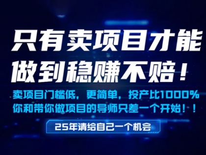 只有卖项目才能做到稳挣不赔，门槛低，更简单，你也可以年入百个W【揭秘】-非凡网-资源网-最新项目分享平台