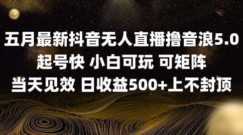 2025五月最新无人直播撸音浪单日产出5张+实操教程【揭秘】-非凡网-资源网-最新项目分享平台