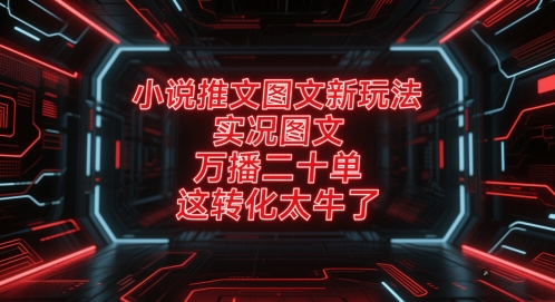 小说推文图文新玩法，实况图文，万播二十单，这转化太牛了！-非凡网-资源网-最新项目分享平台