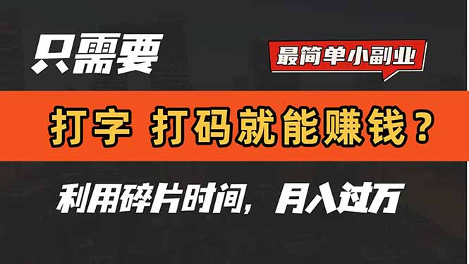 只需要打字，打码，就能赚钱？简单的赚钱小副业，利用碎片时间，月入过万-非凡网-资源网-最新项目分享平台