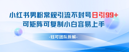 小红书男粉常规引流不封号日引99+变现简单 可矩阵可复制小白容易上手-非凡网-资源网-最新项目分享平台