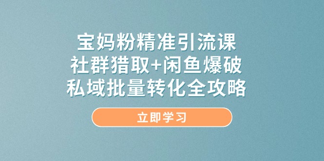 宝妈粉精准引流课，社群猎取+闲鱼爆破，私域批量转化全攻略-非凡网-资源网-最新项目分享平台