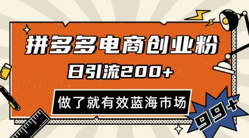 拼多多引流电商创业粉，日引200+，可矩阵放大，做了就有效【揭秘】-非凡网-资源网-最新项目分享平台
